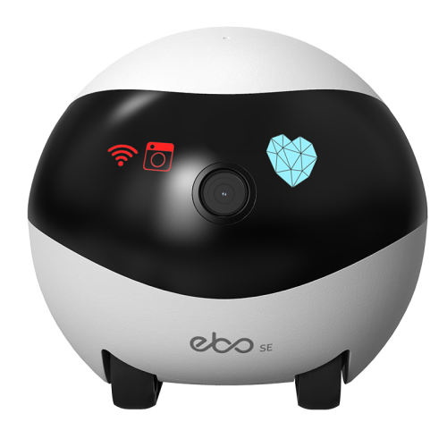 EBO SE׼ EBOȫƶͷ589.75Ԫ