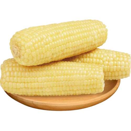 Գζ?Ŵ220*3 Ŵճ״Ŵ״װͷ5.9Ԫ