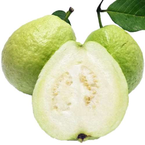 2500g İ10װ27.88Ԫ