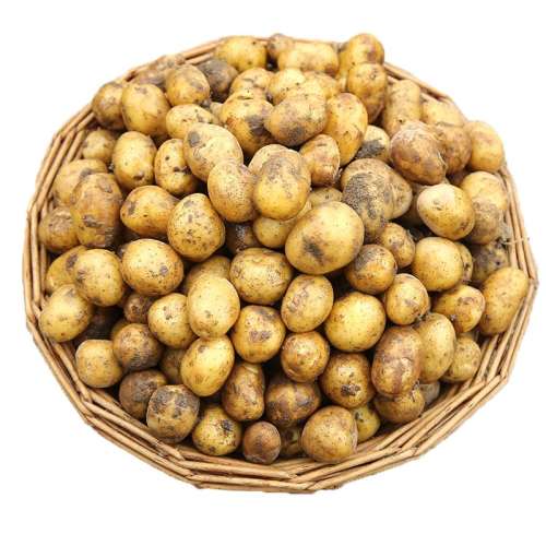 500g ѼС ʩСıƤ3.8Ԫ