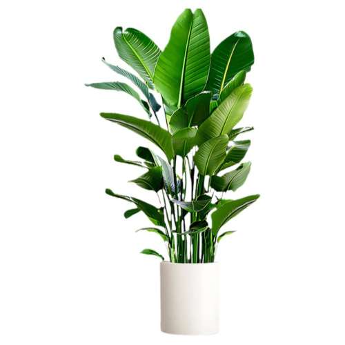 ?ؼۡ80-90cm衿ר÷ ˳ʡںֲ32.98Ԫ