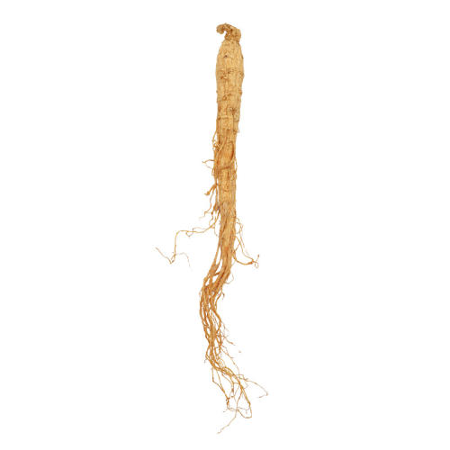 250g 6꾫ѡɹΡԼ200֧/ ˲γɽɹ֦860.75Ԫ
