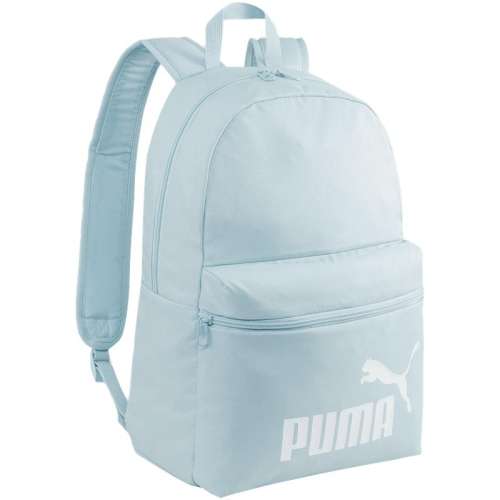 ɫ-15 ͨ˫米PUMA99Ԫ