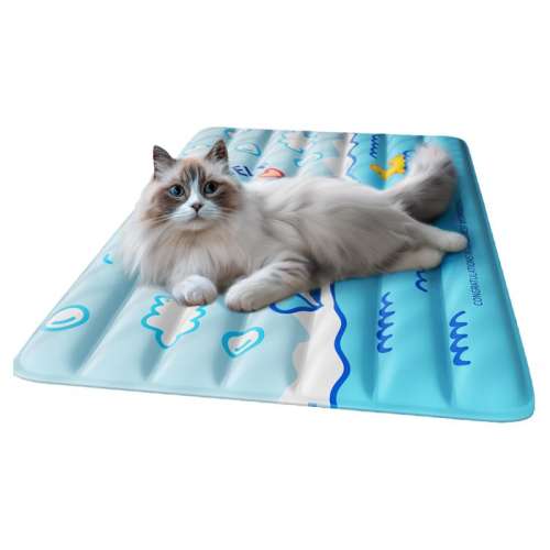α棨רۣ 40*30cmƼ10ڳ 뽵15Cè6.62Ԫ