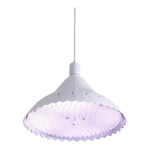 ¹κ졾ר60W ¹ledʵκ쳬43Ԫ