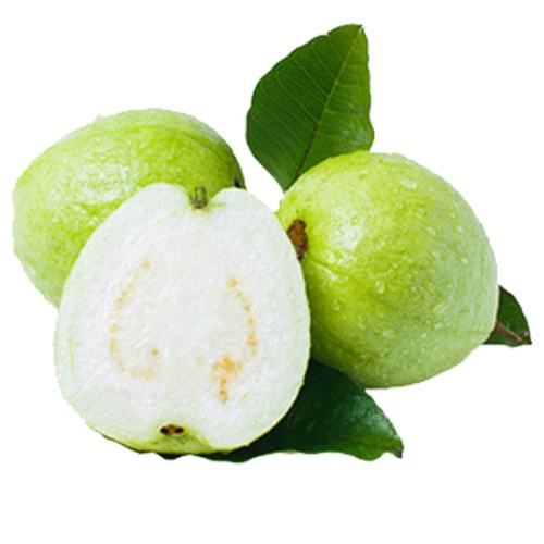 1500g ˳|9|ζ331.84Ԫ