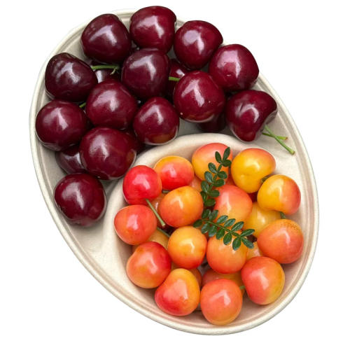 900g й8-10ˣ Ůֱ䡿ӣѺӣ˫ƴӦˮ129Ԫ