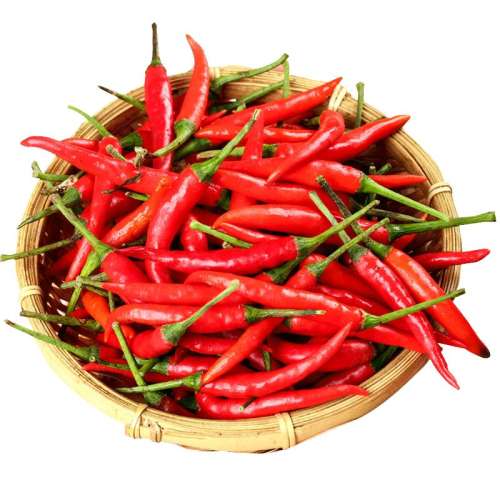 ڲ150g 2025ժС94.7Ԫ