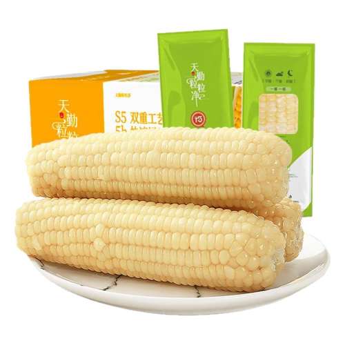 ڲ3֧װ300g/ ƷӼ 2024װ8.9Ԫ