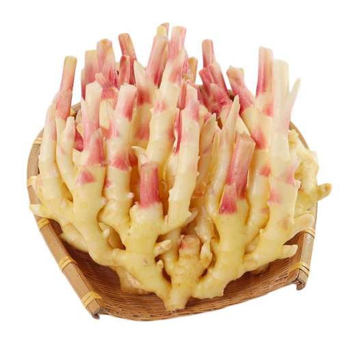 ۻ㣺250g ˳ںѿ۽ʴнӽ9.8Ԫ