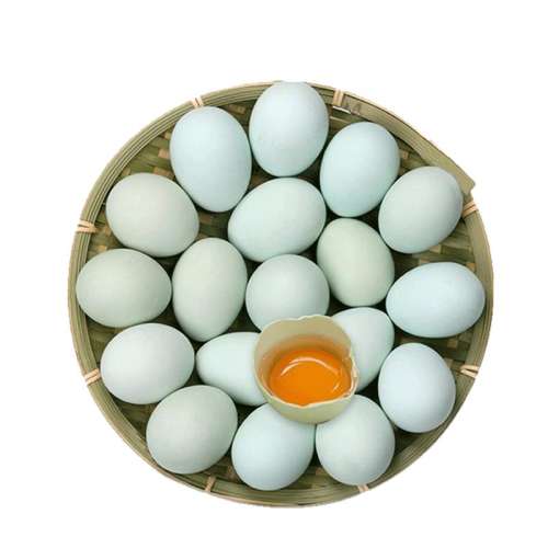 ڲ10ö ڼ Ƥڼũׯ˳8.3Ԫ