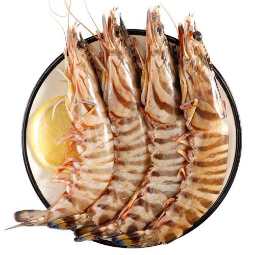 500g 10-12cm ɽʾŽڻΧϺٶʵ74.8Ԫ