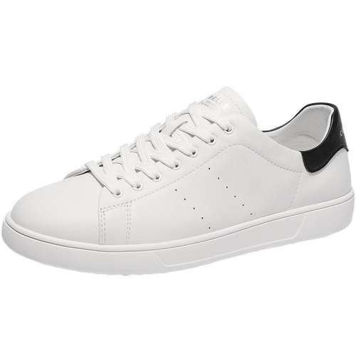 ۻ㣺ɫ 38 ЬСЬ2025ţƤ̳ͬ˶ЬЬ8QN01AM51319.49Ԫ3(439.83Ԫ/88VIP 95)