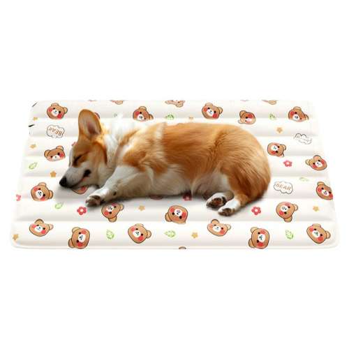 α棨רۣ 40*30cmƼ10ڳ СƼ콵3.98Ԫ