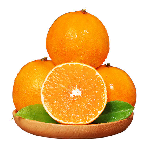 3 60mm-65mm() ¹ȺTOPƷ18.82Ԫ