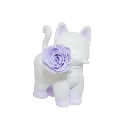 Baby ϵ-è׷ʰ-ɫ-С+ʹ+ػ ROSEONLYŵèõ廨1699.8Ԫ