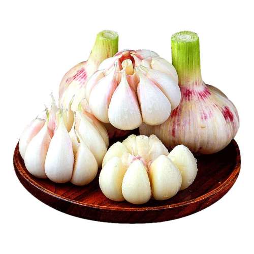 250g С(4CM) Ƥ53.1Ԫ