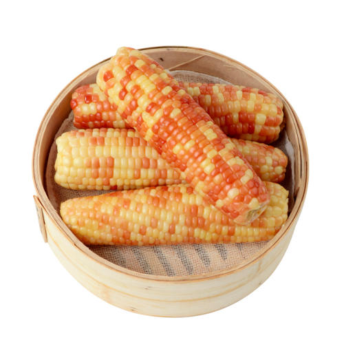 ŴС1ػװ. ˫ɻŴŴ״5.6Ԫ