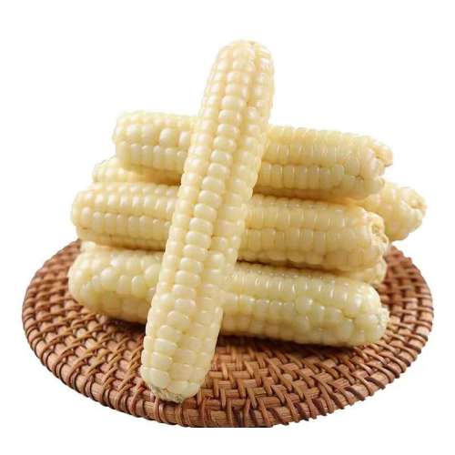 1Լ8-10ԳΪ׼ ŴĴָС ˫ŴĴָСŴϴָķױ10.88Ԫ
