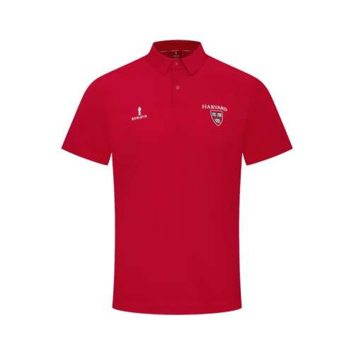 ۻ㣺08ɫ S շҸ߶2025¿POLO˶ɹʪ972Ԫ