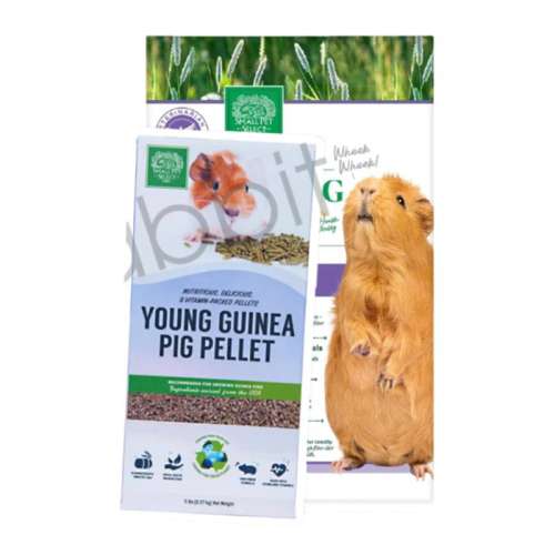 -450g SPS73Ԫ