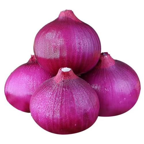 9 ƤеũСͷַζӪ11.9Ԫ