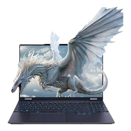 ڲR7-8745H RTX4060/2.5K180Hz 16GB+1TB Ҳ20%MECHREVO/е15Pro 15.3Ӣ R7-8745H/8845H ϷʼǱ ڲ+6049Ԫ