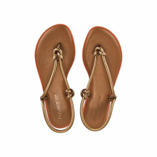 ɫŮ 35 [ļƷ]Havaianas Ψ ЬɫֺЬREVOLVE1593Ԫ3(531Ԫ/)