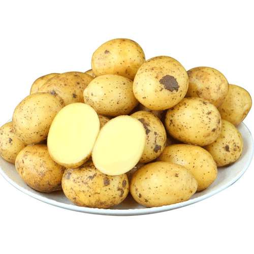 ڲ1500g ѼҴС ʶʩС䡿6.8Ԫ