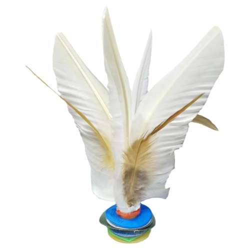 14cm2װ-릸 רö7.56Ԫ