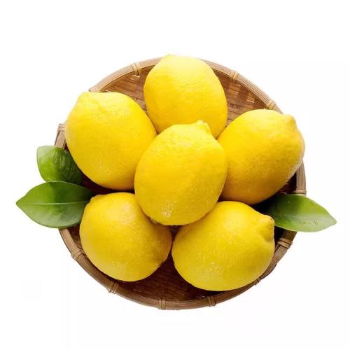 ڲ20-40g 500g ؼ | ̲97.8Ԫ