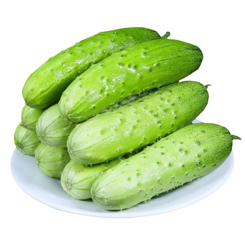450g ɽԴСƹ12.69Ԫ3(4.23Ԫ/)