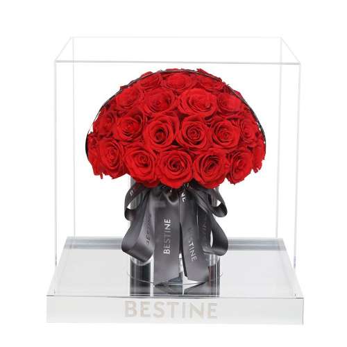 õ廨-Դ̺-38CM BESTINEŮѱͰڼ2539.15Ԫ