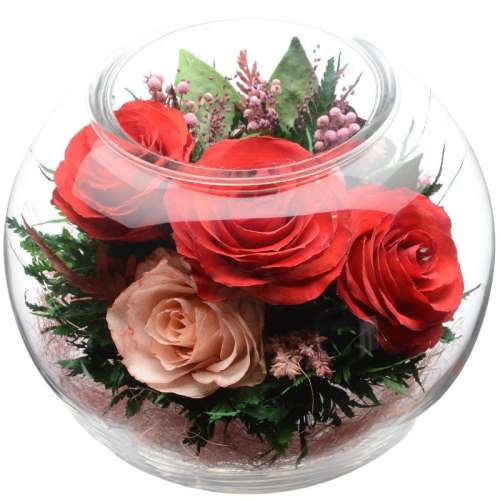 ۻ㣺ƺɫ Ӫ̩232.56Ԫ(88VIP 95)