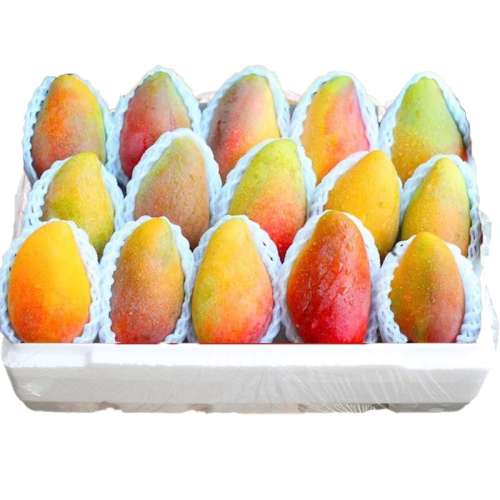 ڲ1000g С1-1.5ʱ|ӽС Ϲââ9ˮʹ̨â6.7Ԫ