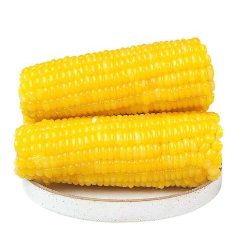 ͷŴ׶220g10 2024ʻŴ10װ23.73Ԫ