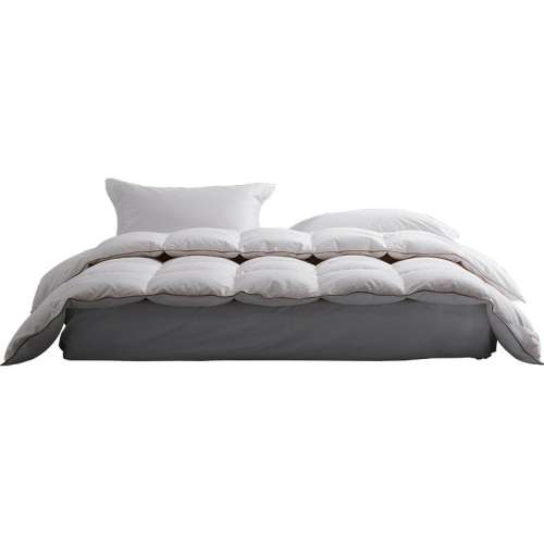 ۻ㣺220x240cm ɫ ˹ŵӺѼë