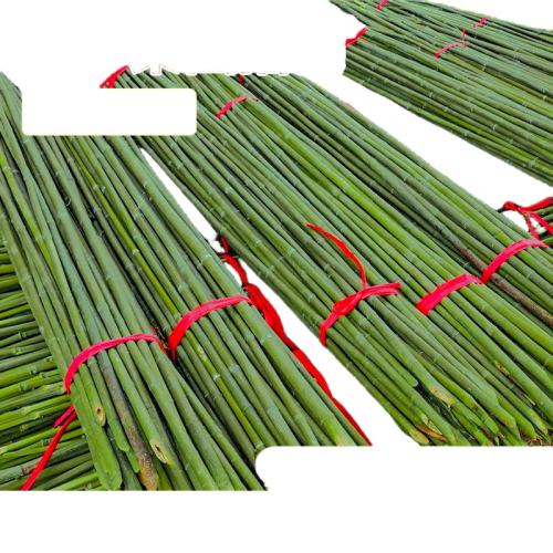 定制数量专拍 联系客服后拍对应金额 2米长竹竿菜园搭架爬藤架种菜用 实付8.5元