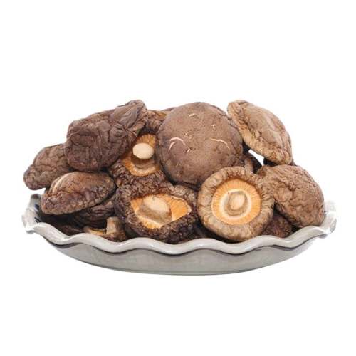 ء10˾Ʒ㹽 ڹ㹽»ɢװزɻѬľ500Ӫ2.61Ԫ