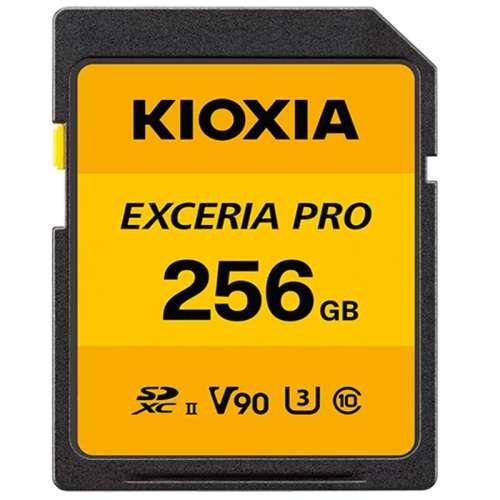 ٷ 256Gڴ濨/ɺ sd256gڴ濨UHS-IIʵ1199Ԫ