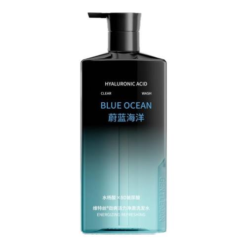 500ml ո13꼴ֹ| ֶ|ʿϴˮTOPI30.5Ԫ