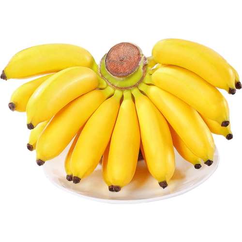 3 С׽ŴȻ죡ʵ9.8Ԫ