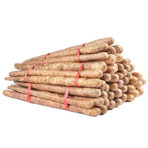 ۻ㣺500g ɽҩ5װ5.5Ԫ