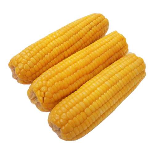 200g Ŵ3 Ŵհװ5.6Ԫ