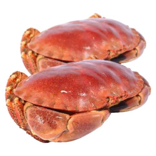 ڲ600g-800g/ֻ*1޻ư зˣ 춳з600-800g/ֻ޻ư67Ԫ