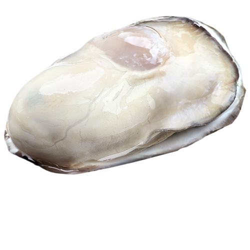 M(70g) 5ɽʻشӺĵˮ21028.82Ԫ