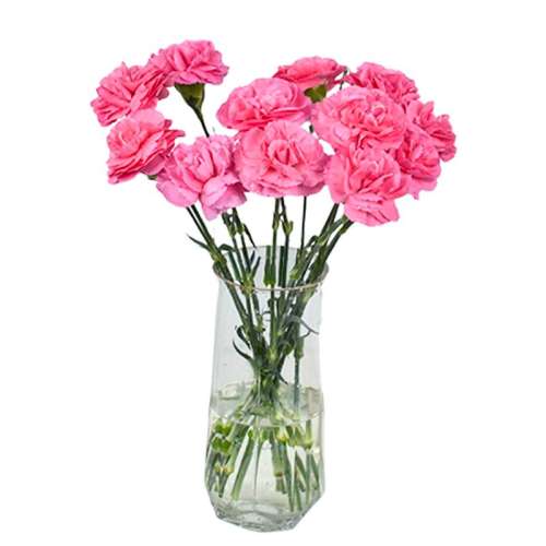 ۻ㣺ƿ ܰ10֧ɫ/ɫ öABܰʻĸ׽20.23Ԫ