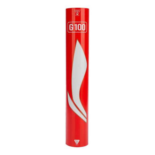 ڲ4ͰװG200ë77 ëG100 ʹȶ509Ԫ