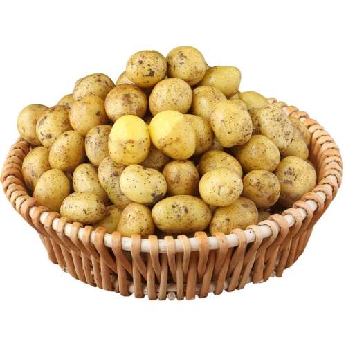 ڲ1500g ʩС߲ũҸɽ7.92Ԫ