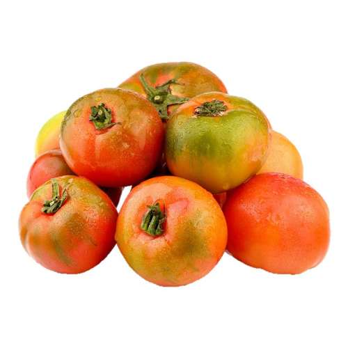 1 װ ڵƤ5ݮ110.7Ԫ